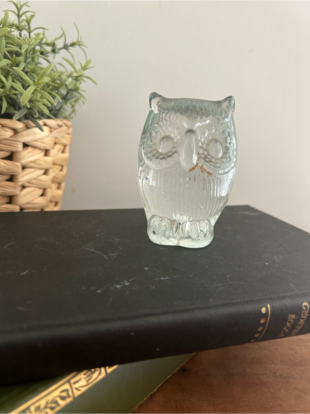 Vintage Mid century Clear Glass Owl Paperweight Figurine 3” Home Art MCM